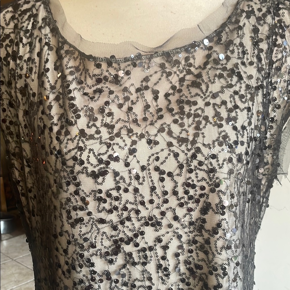 Black Sleeveless Sequin Embellished dress.